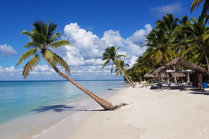 Rumbadera on Saona Island all day - Photo 1 of 14